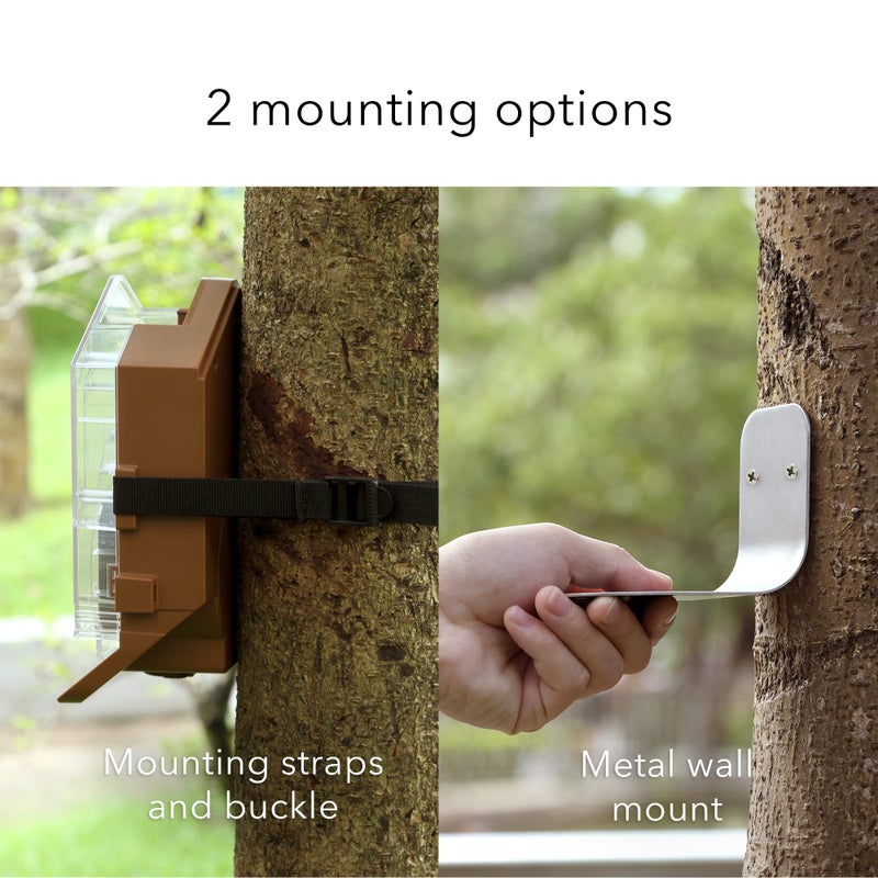 واسيرستين حافظة كاميرا Wasserstein Bird Feeder متوافقة مع كاميرات Blink Wyze & Ring الأمنية بما في ذلك Blink Outdoor 4 Wyze Cam OG وكاميرا Ring Stick Up (الكاميرا غير متضمنة) - Image 5